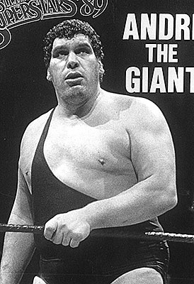 Andre the Giant